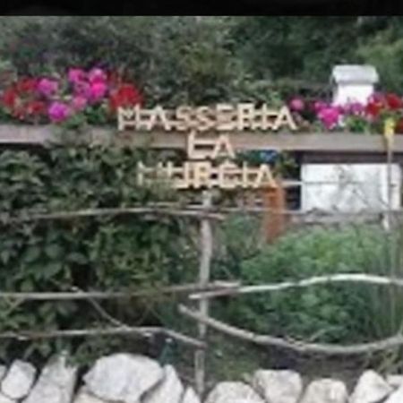 Wildcamp Resort Masseria La Murgia Unterkunft In Einem Wohnwagen Rimbach  エクステリア 写真
