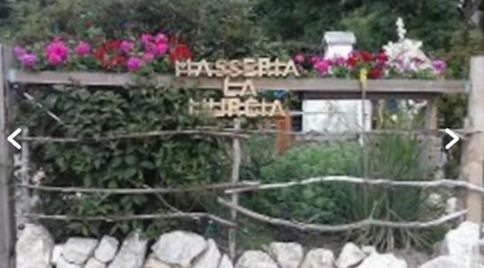 Wildcamp Resort Masseria La Murgia Unterkunft In Einem Wohnwagen Rimbach  エクステリア 写真